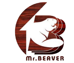 Mr Beaver